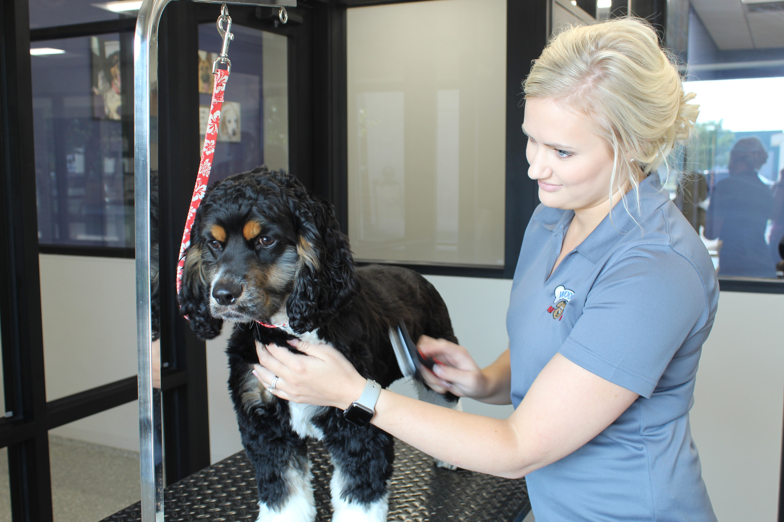 Overland Park Grooming Woof's Play & Stay