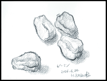 260624ピーマン.gif