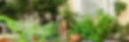 Banner_edited.jpg