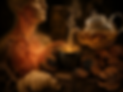 IMG_0901.PNG