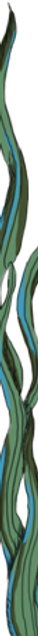 Blue Twisting Vines_edited.png