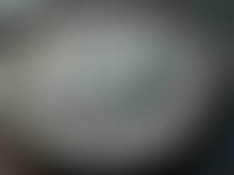 Perfect Collector Coins for Christmas Gifts That Will Impress