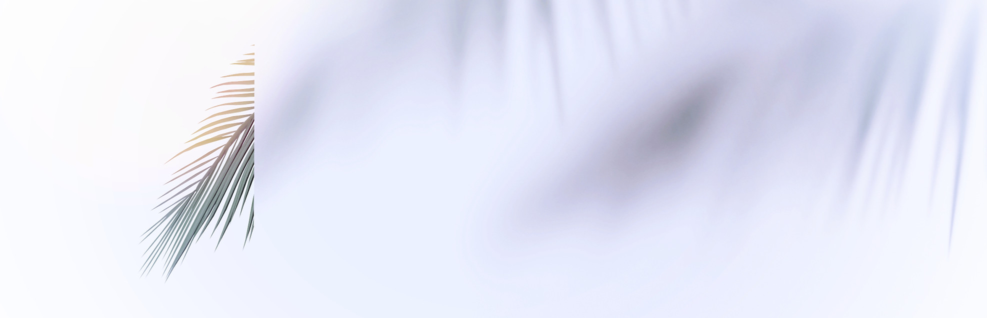 Stage and Leaves_edited_edited_edited_ed