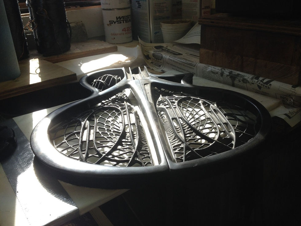Chrysalis guitar body frames and grills under winter morning light