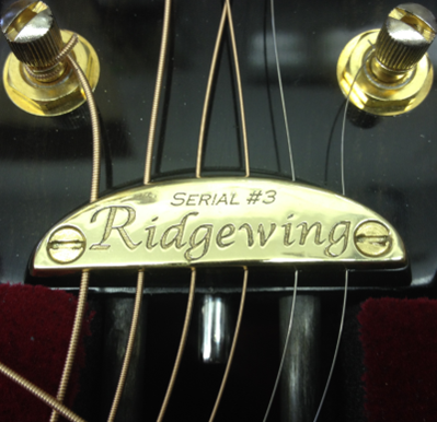 Ridgewing string retainer bar
