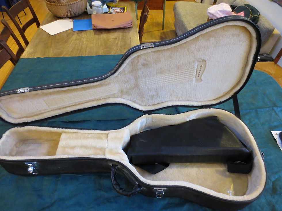 Ridgewing guitar in its leather case is shown inside a regular hard-shell case