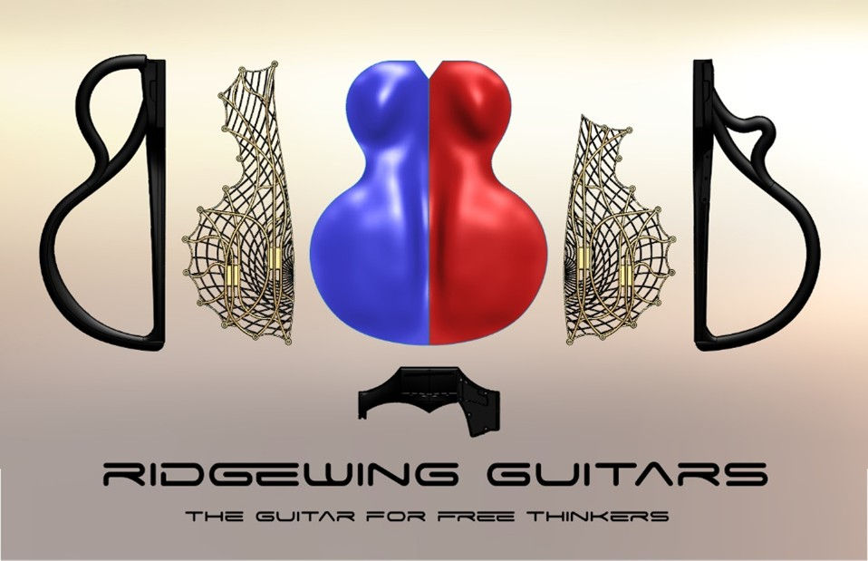 The Woman in the Guitar