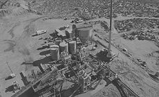 Drone Plant_edited.jpg