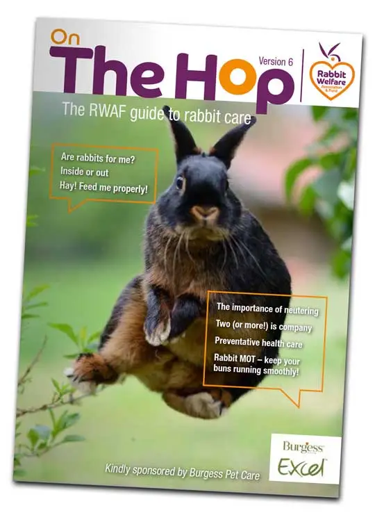 On The Hop – A comprehensive guide to rabbit care | Hoppy Pets