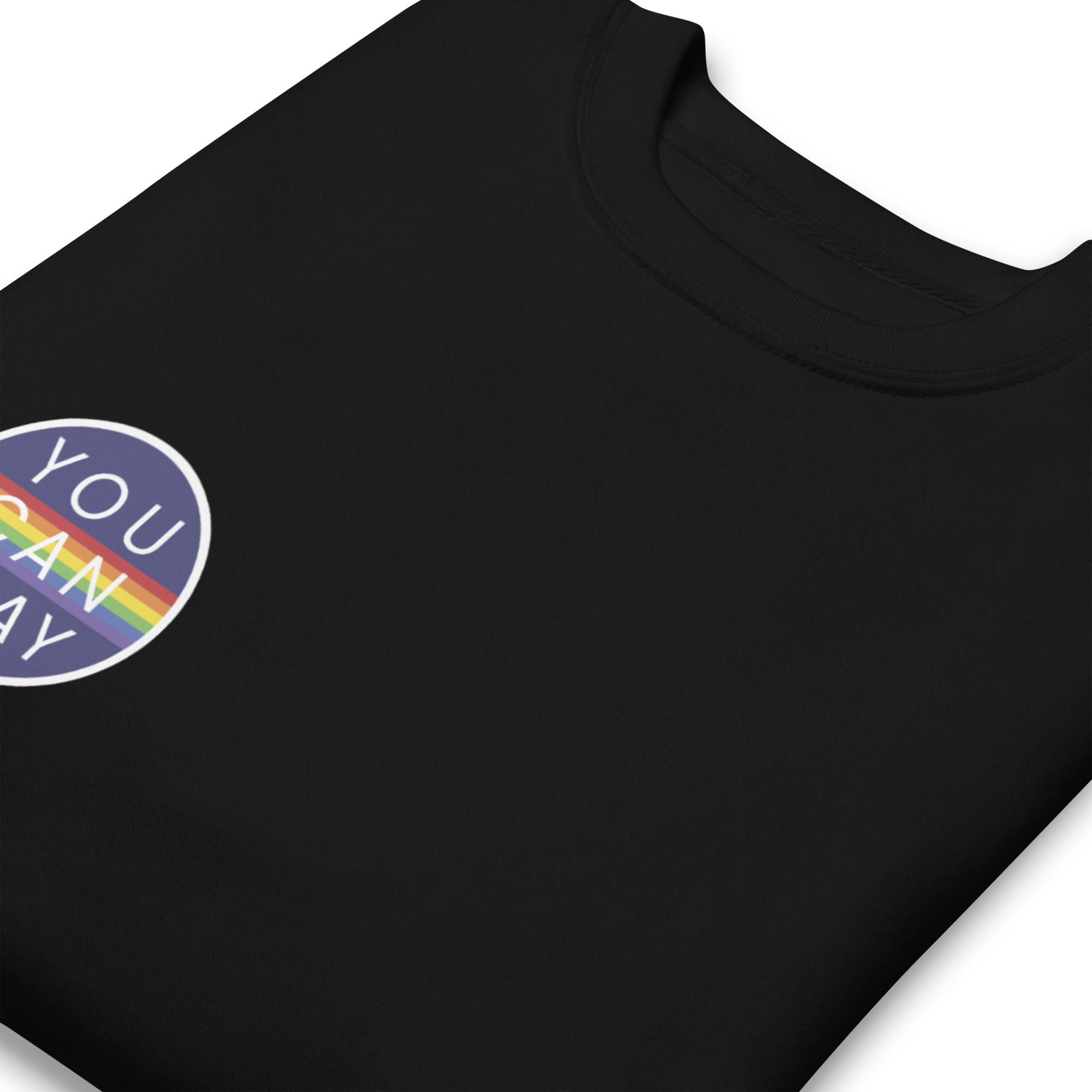 YCP Pride Logo - Unisex Premium Sweatshirt