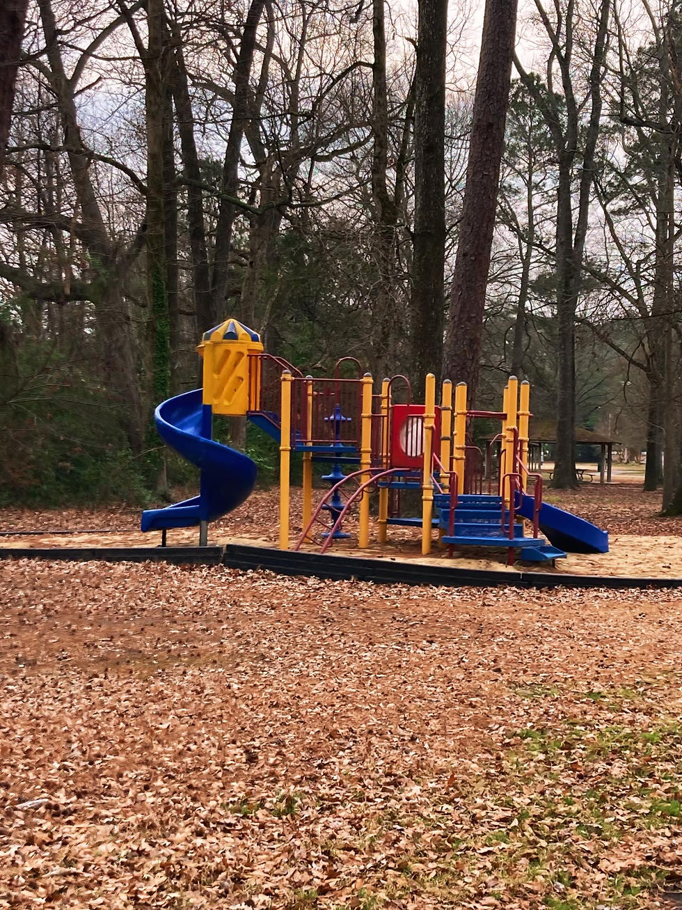 Recreation Park Playground