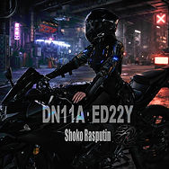 187-DN11A&ED22Y.jpg