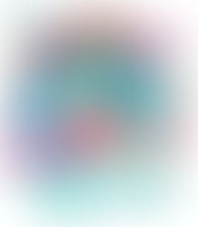 39th Annual YMCA Virtual Turkey Trot