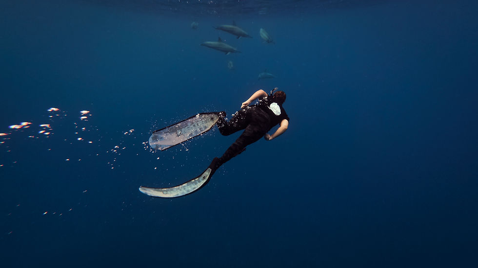 NOW team snorkelling off the coast of Niue. Photo by Joe Murdie