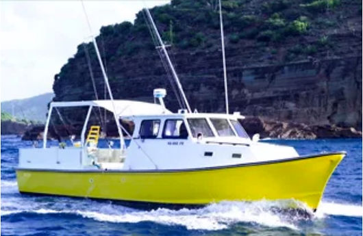 Overdraft & H2O Fishing Charters