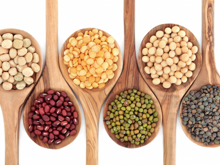 Top 8 Health Benefits of Beans for Long-Term Emergency Food Storage