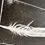 Thumbnail: Feather print
