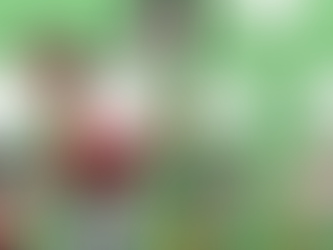 DIVIETO DI AVVICINAMENTO ALLA SCUOLA PER LA MAESTRA VIOLENTA.