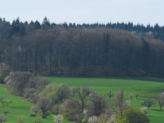 Gelterkinder Berg vor 250 Jahren