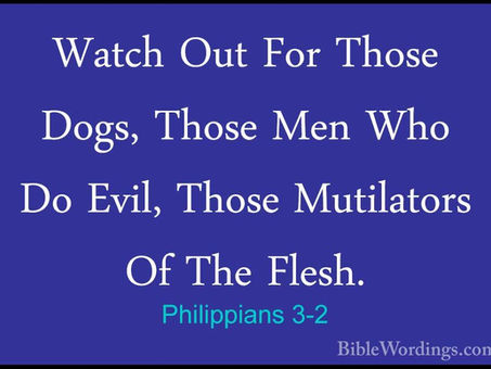 Watch Those Dogs! Philippians 3:2
