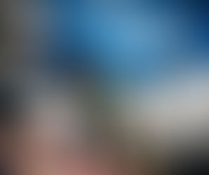 The Raccoons Are on Board!