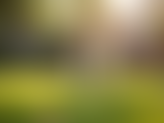 Maximize Yard Cleanliness: Top Pet Waste Removal Tips