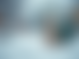 Winter Pet Waste Removal Tips for a Clean and Safe Yard Year Round