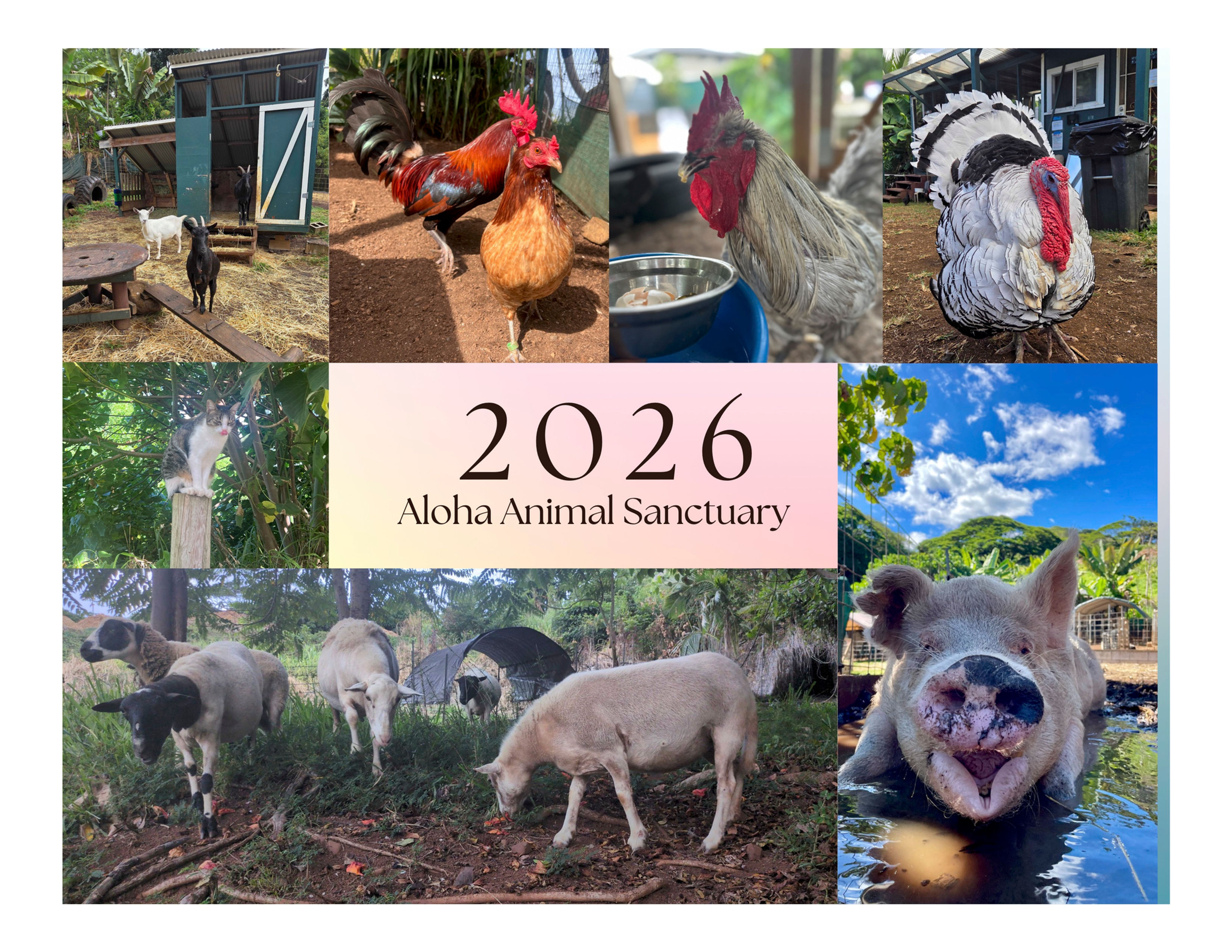2026 Calendar for Aloha Animal Sanctuary