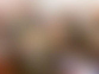 Defensoria doa quase 1 tonelada de alimentos a desabrigados no município de Trizidela do Vale