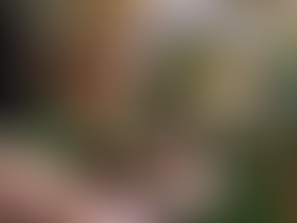 BRK DISPONIBILIZA RELATÓRIO ANUAL DE QUALIDADE DA ÁGUA 2023