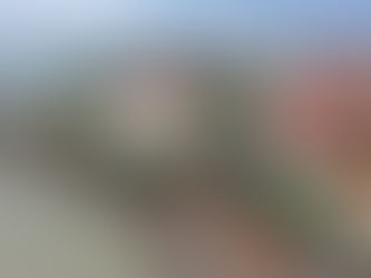 HOMENAGEM DA FRIBAL A SÃO LUÍS