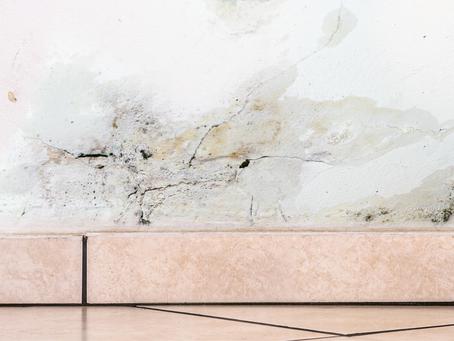 QUAIS OS CUIDADOS BÁSICOS PARA PROTEGER A CASA NO PERÍODO CHUVOSO