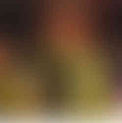 FOTOS – DIVULGAÇÃO: O aluno da APAE de São Luís e brincante do Boi Mimoso Antônio Carlos Trindade.