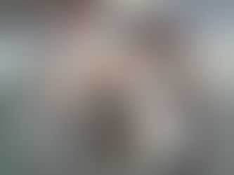 UMA PONTE PARA O FUTURO: