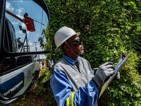Equatorial Maranhão orienta sobre poda de árvores