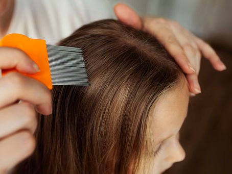 Socorro, meu filho está com piolho!