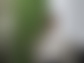 PALESTRA “EPIDEMIAS NO MARANHÃO: DA DENGUE AO INFLUENZA” NO HOSPITAL DO SERVIDOR ESTADUAL (HSE/HSLZ)