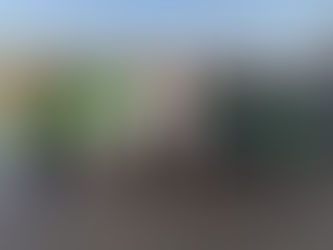 Campanha de doação de órgãos é intensificada em São Luís