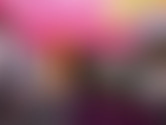 FRIBAL PRESTA HOMENAGEM AO SÃO JOÃO DO MA COM VÍDEO