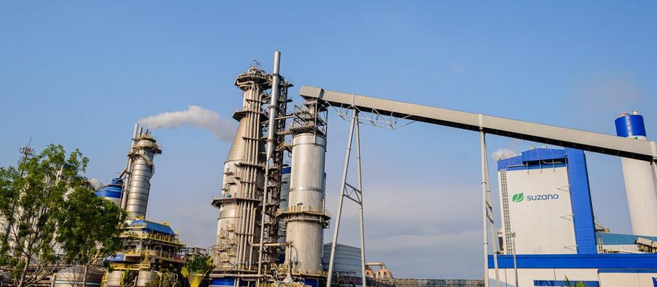 Suzano marca presença no Arraiá da Mira 2026 e reforça compromisso com a sustentabilidade