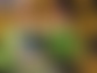 DOCES FINOS NATALINOS