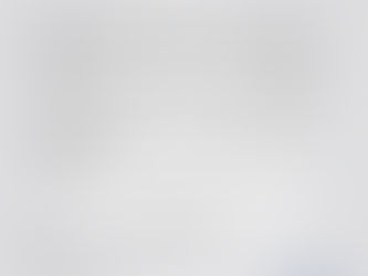 CDL convida associados para plenária de maio