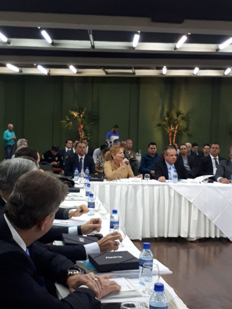 Encontro teve a participação de dirigentes de Detrans de todo o Brasil. (Foto: Divulgação)