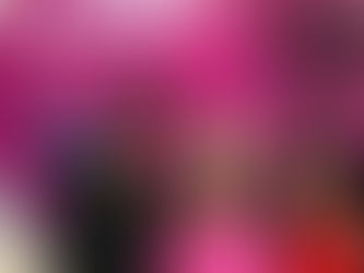 NOVO PONTO DE VENDA DA TVN