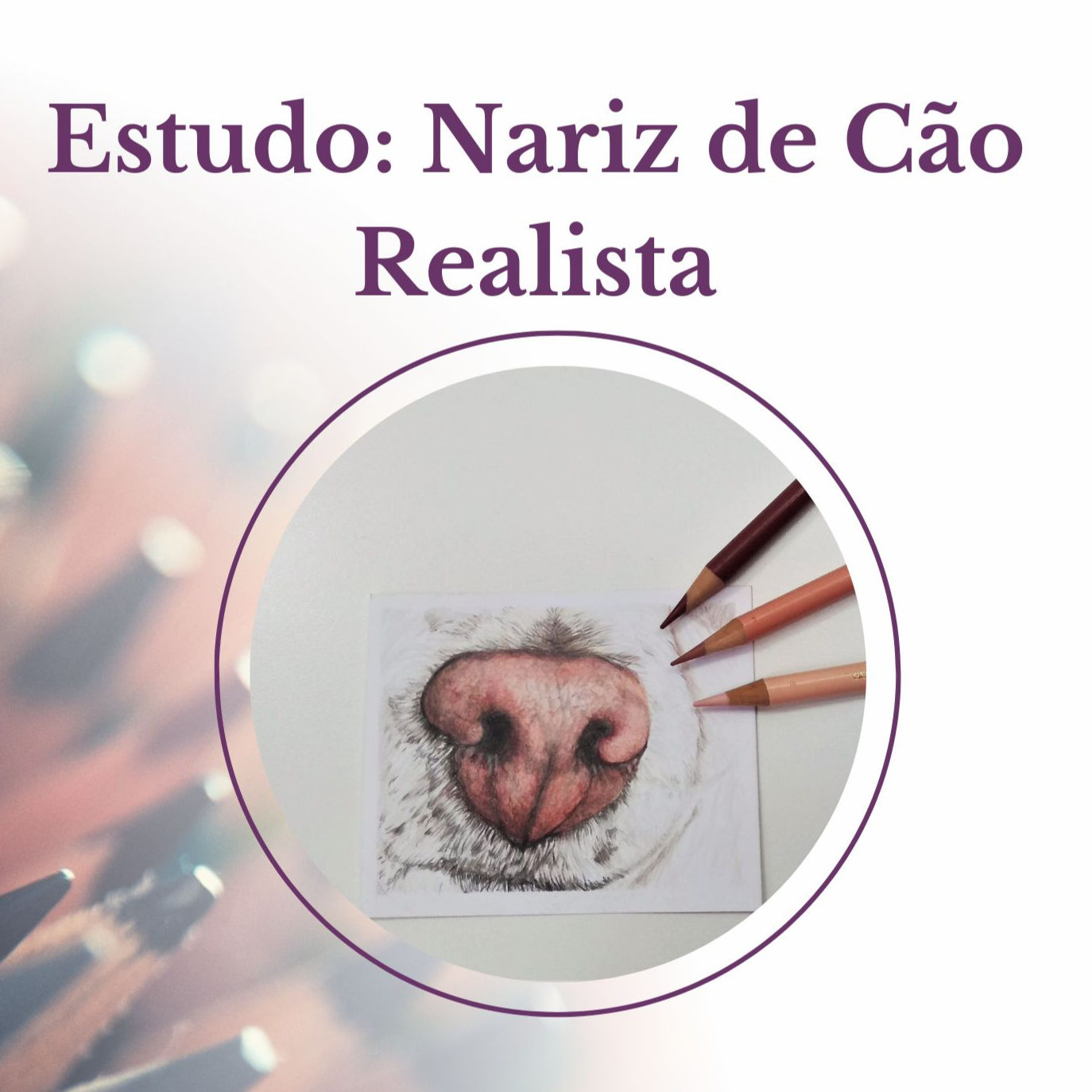 Estudo Nariz de cão