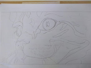 Como Desenhar um Gato - Parte 1 - Olho