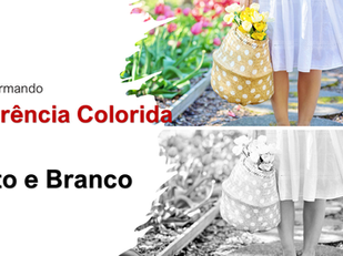 Como Transformar sua Foto de Referência Colorida em Preto e Branco