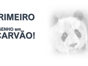 Experiências com Carvão