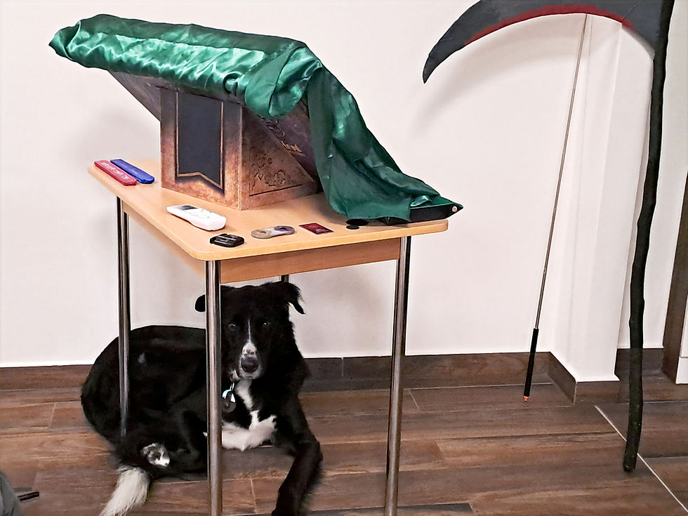 Bild von Ruffy dem Hund unter dem Tisch mit dem Grimoire.