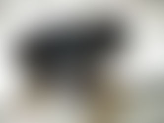 Saying Goodbye to my Pets